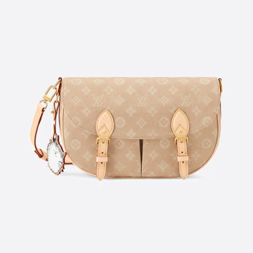 루이비통 고양이 남성용 메신저 백 M15134